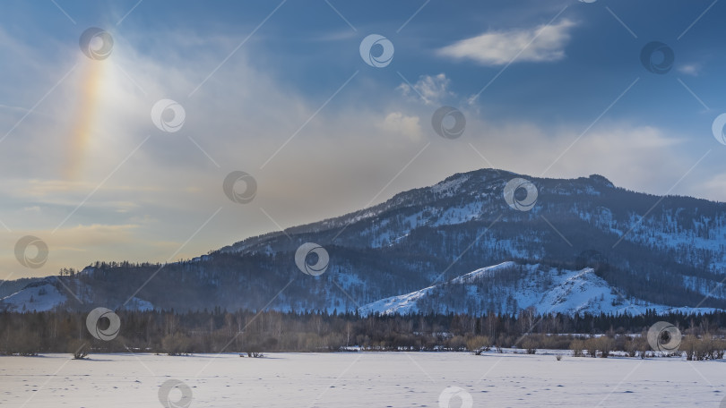 Скачать Лес растет в заснеженной долине. фотосток Ozero