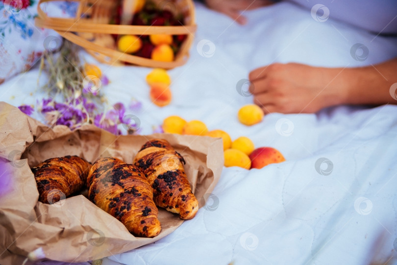 Скачать Пикник на открытом воздухе летом. Вкусные, свежие круассаны и спелые абрикосы лежат на белом покрывале. фотосток Ozero