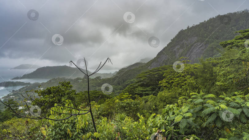 Скачать Холмы полностью заросли тропической растительностью. фотосток Ozero