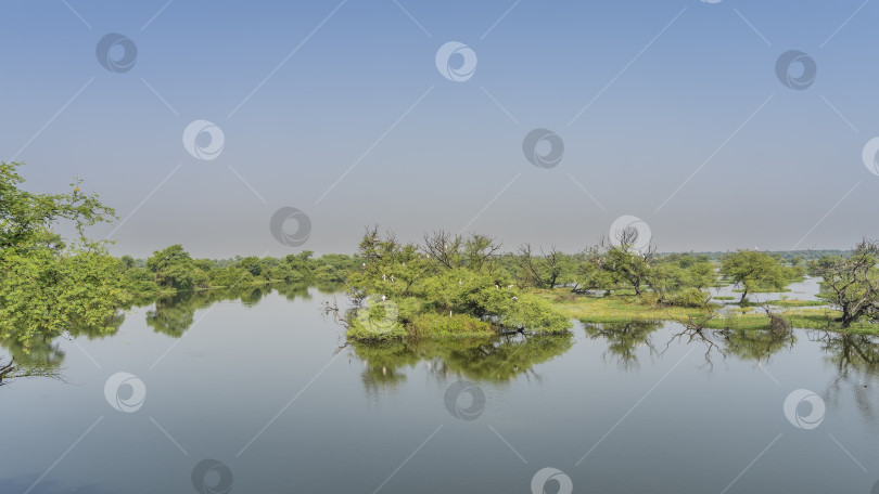 Скачать Гладкое спокойное озеро под голубым небом. фотосток Ozero
