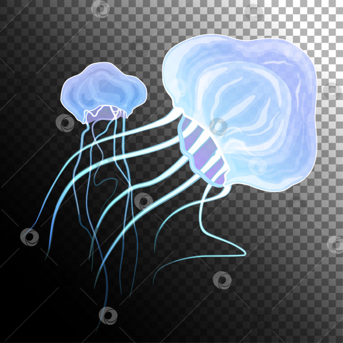 Скачать Детализированная прозрачная и светящаяся медуза. Волшебный подводный мир. Пурпурно-синее морское желе на изолированном фоне. Векторная иллюстрация фотосток Ozero
