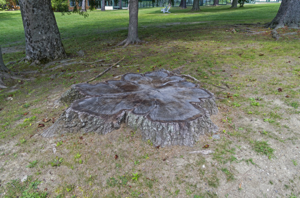 [object Object] undefined