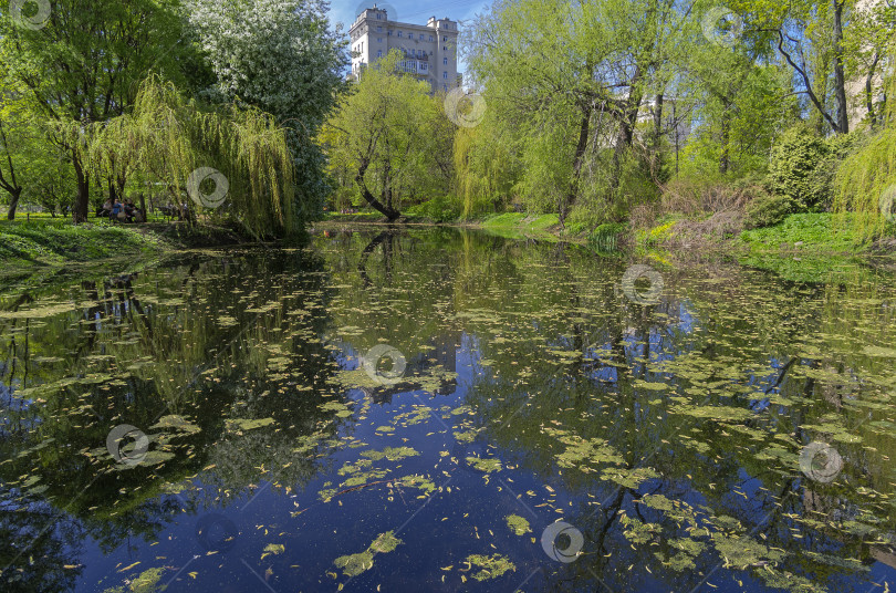 Скачать Тихий и уютный пруд в центре Москвы. фотосток Ozero