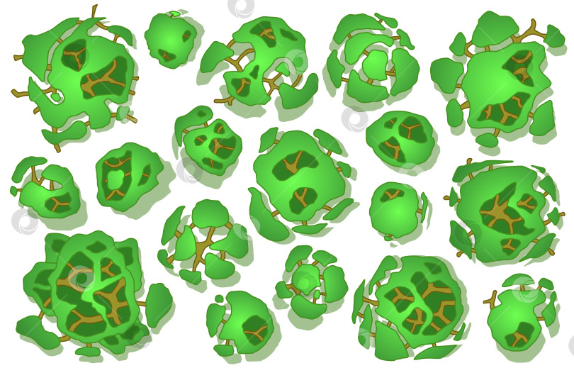 Скачать Набор деревьев на виде сверху. Различные изображения растений и деревьев для архитектурного или ландшафтного плана. Вид сверху. Вектор фотосток Ozero