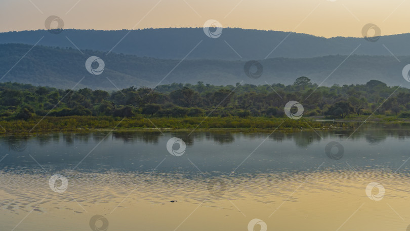 Скачать Тихий вечер.  Индия. Сариска фотосток Ozero