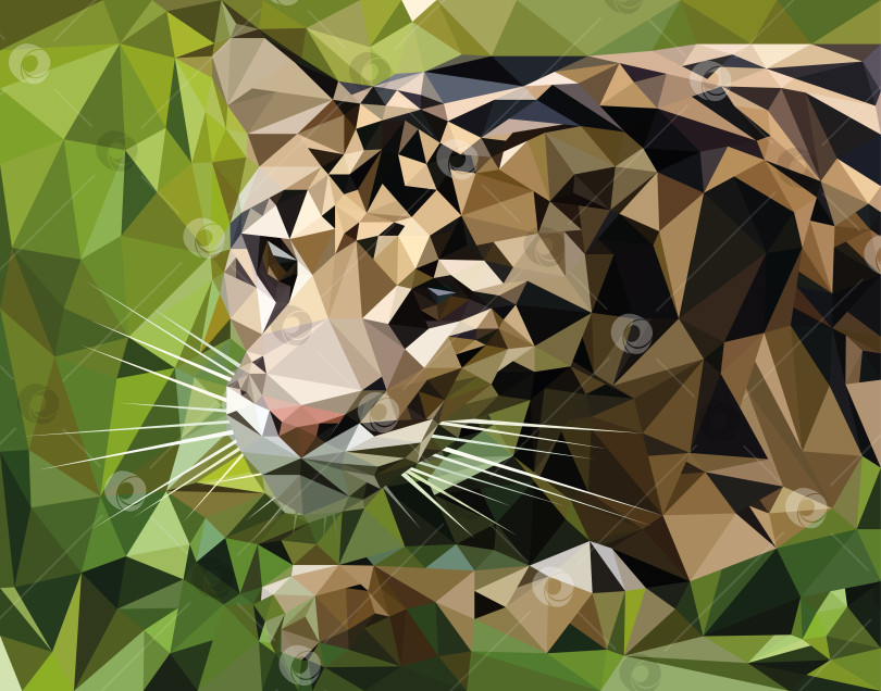 Скачать Иллюстрация животного дымчатого леопарда в стиле Low Poly фотосток Ozero