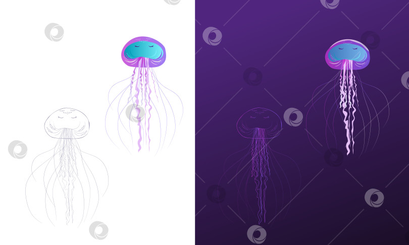 Скачать Группа градиентных медуз различных цветов и стилей фотосток Ozero