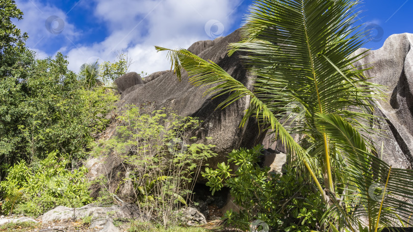 Скачать Пейзаж тропического острова. Огромные причудливые гранитные валуны, окруженные тропической растительностью фотосток Ozero