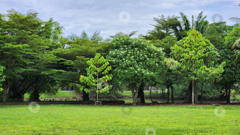 Скачать Парк в Юго-Восточной Азии фотосток Ozero