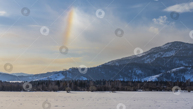 Скачать На краю заснеженной долины растет лес. фотосток Ozero