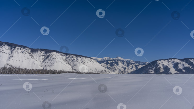 Скачать Бескрайняя долина покрыта чистым сверкающим снегом. фотосток Ozero