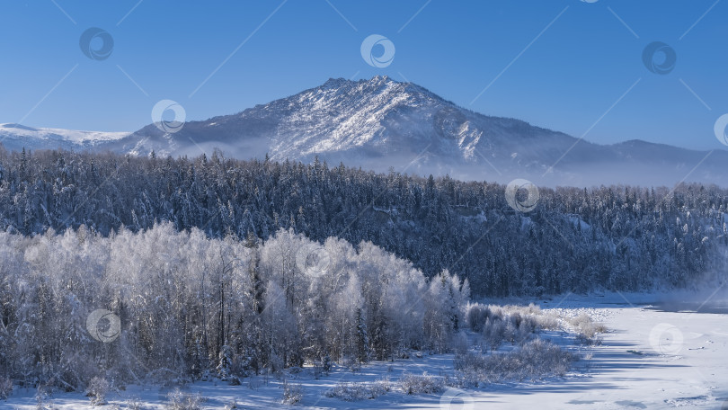 Скачать Голые ветви деревьев покрыты инеем. фотосток Ozero