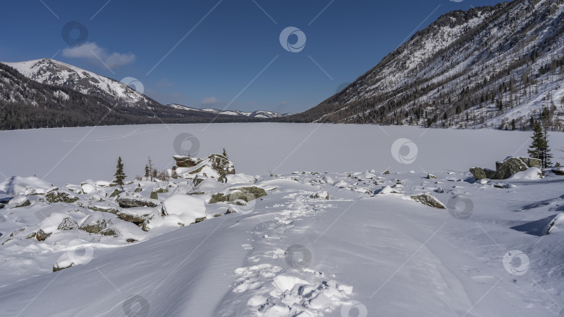 Скачать Цепочка следов в сугробах ведет к замерзшему озеру. фотосток Ozero