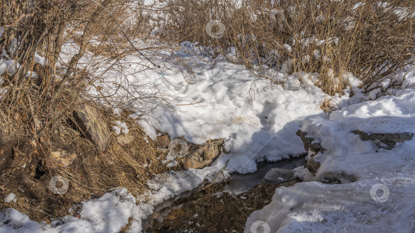 Скачать Незамерзший ручей в зимнем лесу. фотосток Ozero