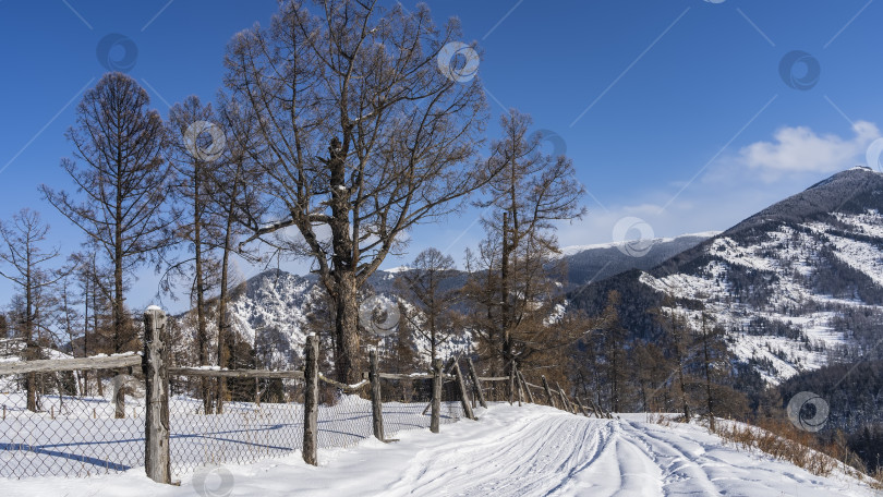 Скачать Вдоль склона горы тянется утоптанная в снегу дорога. фотосток Ozero