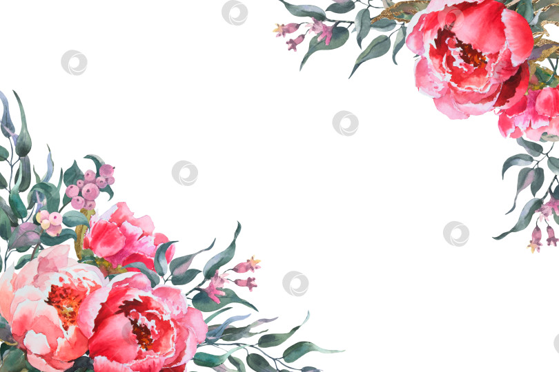 Скачать Акварельная горизонтальная рамка, шаблон, розовые и белые пионы, ветви эвкалипта. Нарисованная от руки ботаническая иллюстрация, выделенная на белом фоне. Для приглашений сохраните дату свадьбы. фотосток Ozero