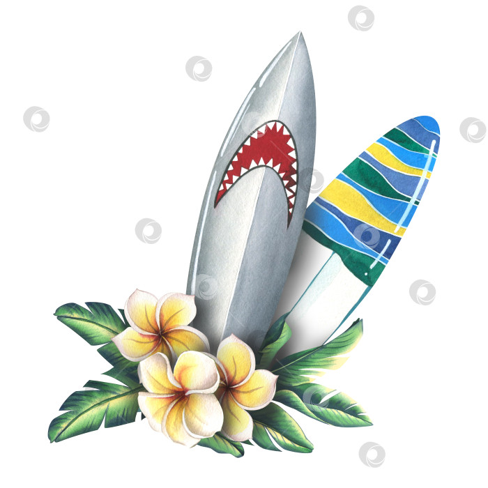 Скачать Доски для серфинга с рисунком акулы и полосатым принтом в цветах плюмерии и тропических листьев. Акварельная иллюстрация. Композиция из коллекции для серфинга. Для украшения и дизайна. фотосток Ozero