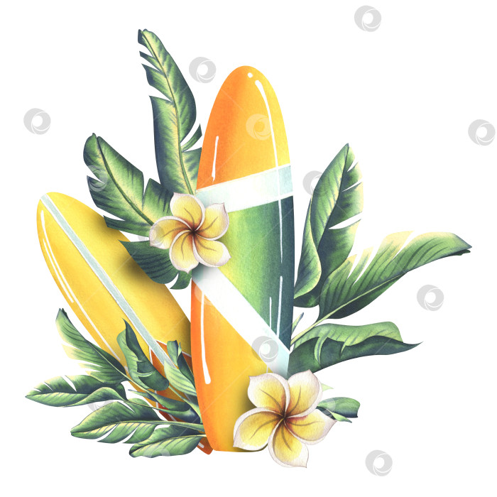 Скачать Доски для серфинга в желтую и оранжевую полоску с тропическими листьями, цветами плюмерии на белом фоне. Акварельная иллюстрация. Композиция из коллекции SURFING фотосток Ozero