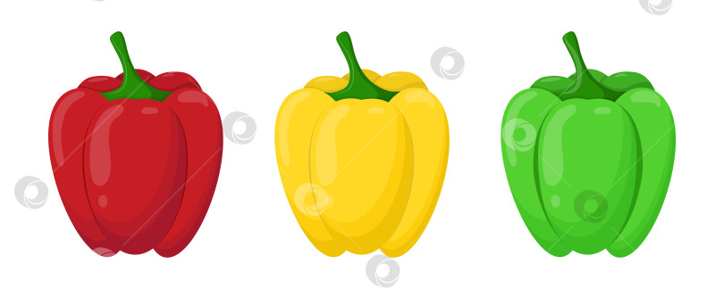 Скачать Набор сладких перцев. Красный, желтый, зеленый перец фотосток Ozero