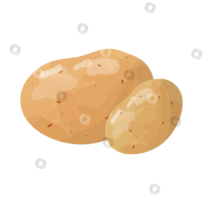 Скачать Векторный значок продукта овощной картофель.  Иллюстрация картофеля в f фотосток Ozero