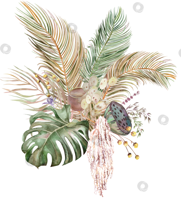 Скачать Букет сухоцветов на прозрачном фоне с листьями монстеры и пальмы фотосток Ozero