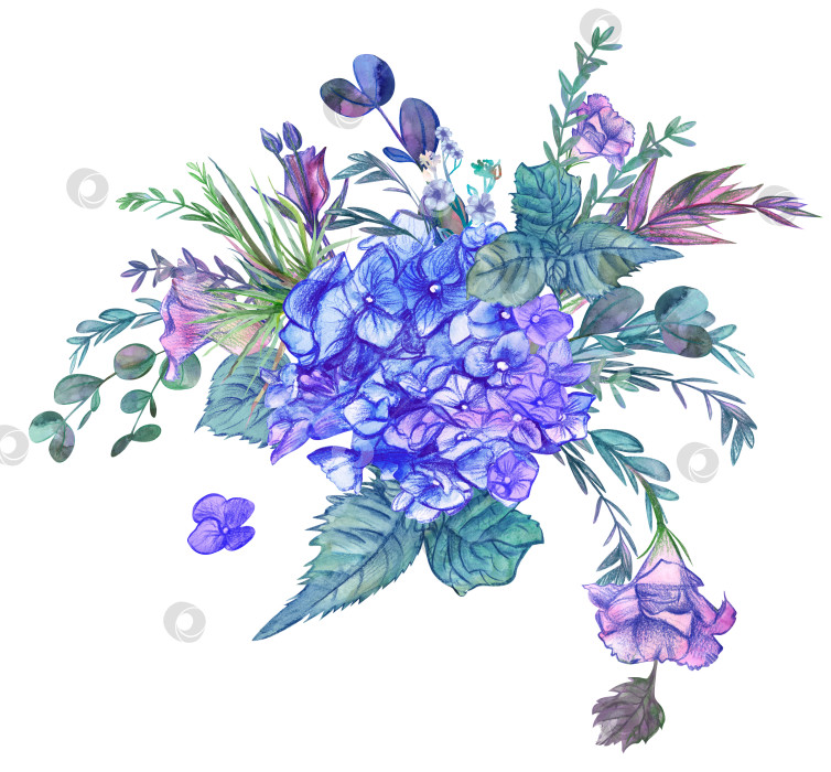 Скачать букет из цветка голубой гортензии, нарисованный акварелью и карандашом фотосток Ozero