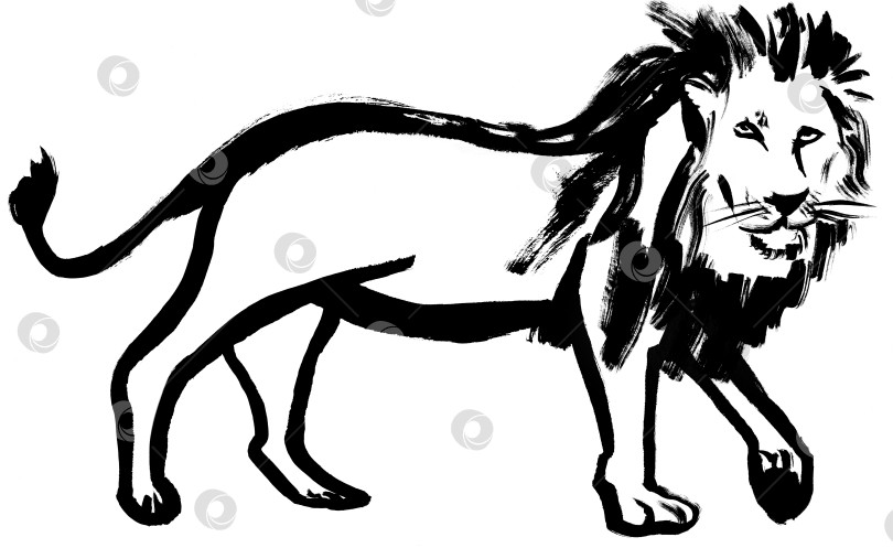 Скачать черно-белая иллюстрация льва, нарисованного черной гуашью, представляет собой фотосток Ozero