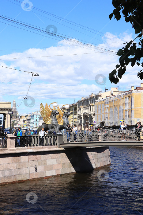 Скачать Россия, Петербург, 29 июня 2019 года. Крылатые львы на Банковском мосту. Грифоны на Банковском мосту на реке Фонтанке, по легенде, охраняют золотые сокровища, и те, кто прикоснется к ним, станут богатыми фотосток Ozero