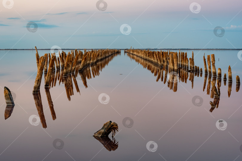 Скачать Розовое озеро Сасык-Сиваш на закате. Крым. фотосток Ozero