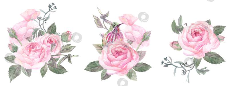 Скачать Набор винтажных цветочных композиций с акварельными нежными розами фотосток Ozero