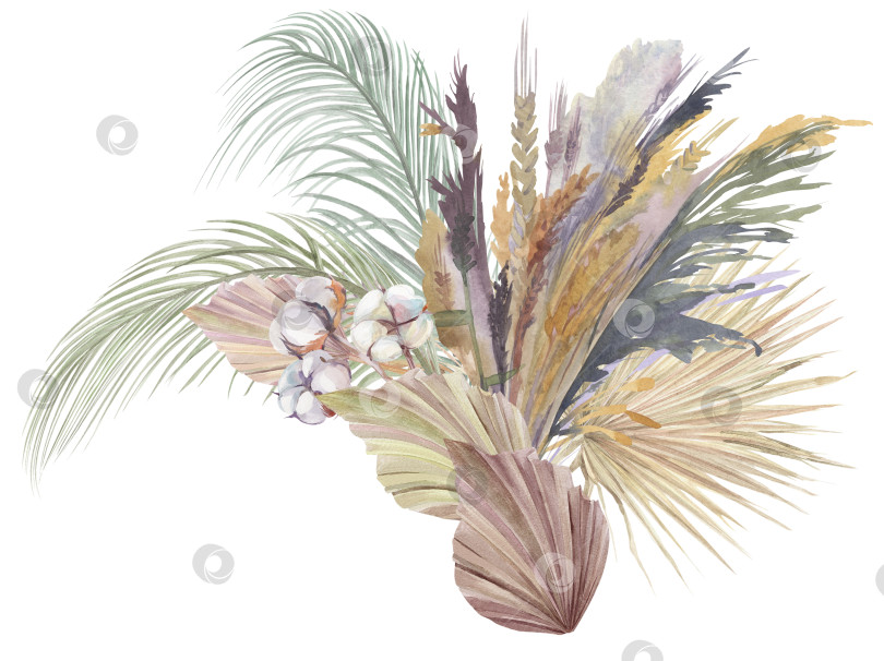 Скачать Букет из сухоцветов, нарисованных акварелью с пампасной травой фотосток Ozero