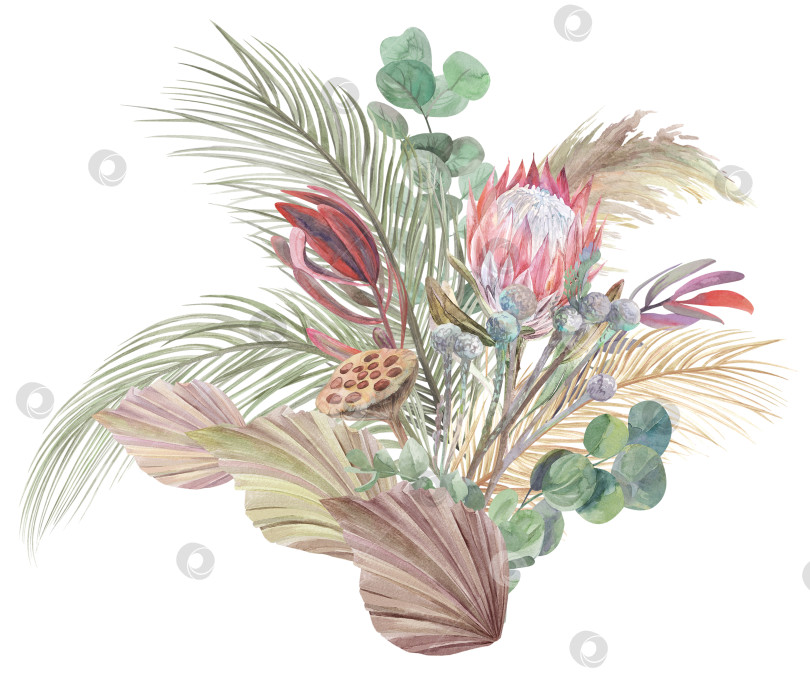 Скачать Букет с сухоцветами пальм и протеи, окрашенными в фотосток Ozero