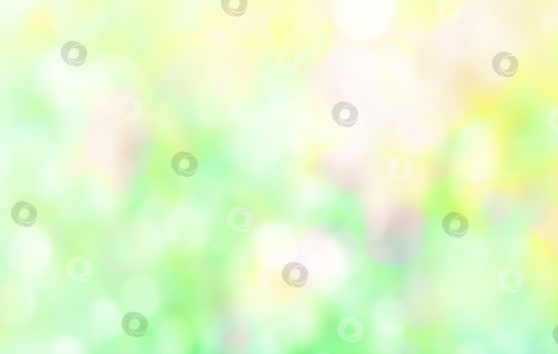 Скачать Размытые цветы, листва весеннего или летнего абстрактного фона. Баннер на естественном расфокусированном мягком многоцветном зелено-желтом фоне. фотосток Ozero