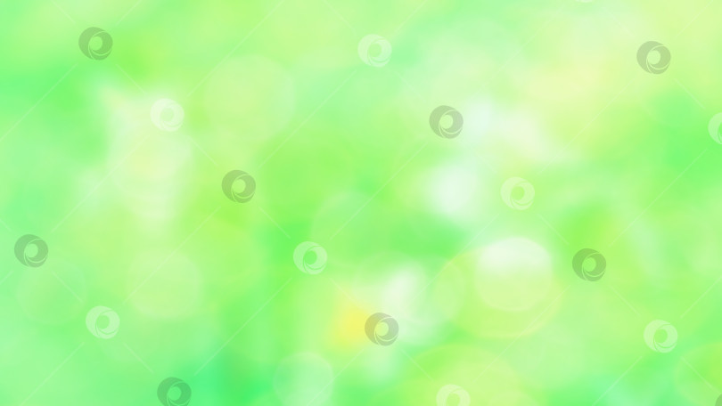 Скачать Естественный размытый фон. Зеленое поле, белые цветы, размытый абстрактный баннер на летнем или весеннем фоне. фотосток Ozero