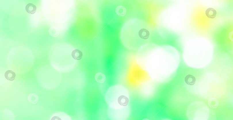 Скачать Цветы нарцисса размывают фон. Абстрактный размытый баннер на естественном весеннем или летнем фоне. фотосток Ozero