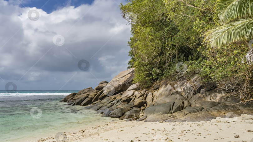 Скачать Уединенный пляж на тропическом острове. фотосток Ozero