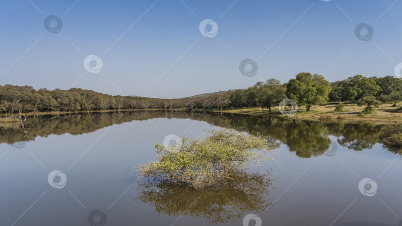 Скачать Спокойное озеро с гладкой зеркальной поверхностью. фотосток Ozero