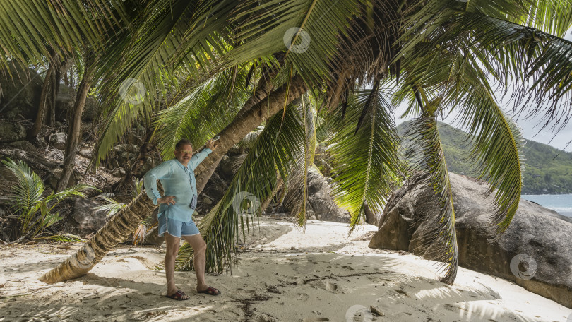 Скачать Мужчина стоит на песчаном пляже, опираясь рукой на согнутую пальму, улыбается. фотосток Ozero