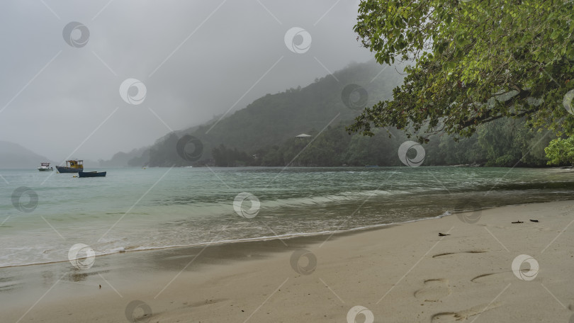 Скачать Туманный день на тропическом острове. фотосток Ozero