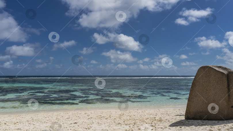 Скачать Сквозь прозрачную бирюзовую воду океана видны кораллы. фотосток Ozero