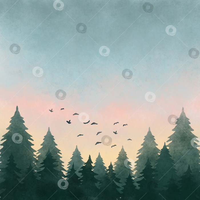 Скачать Акварельная иллюстрация лесного пейзажа на закате фотосток Ozero