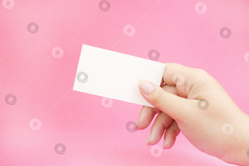 Скачать Белый лист визитной карточки в руке на розовом фоне. Рука держит визитную карточку. Бизнес-концепция. фотосток Ozero