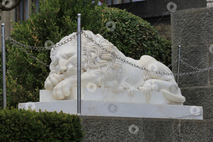 Скачать Скульптура спящего льва фотосток Ozero