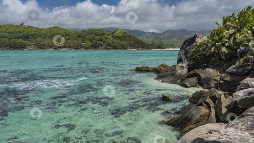 Скачать Сквозь прозрачную бирюзовую океанскую воду видны кораллы. фотосток Ozero