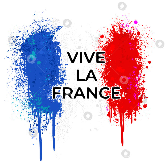 Скачать Флаг Франции в стиле граффити с надписью Vive la France. фотосток Ozero