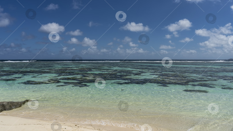 Скачать Сквозь прозрачную бирюзовую воду океана видны кораллы. фотосток Ozero