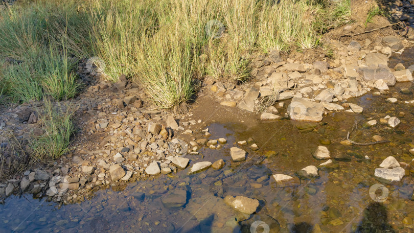 Скачать Ручей в джунглях с чистой прозрачной водой. фотосток Ozero