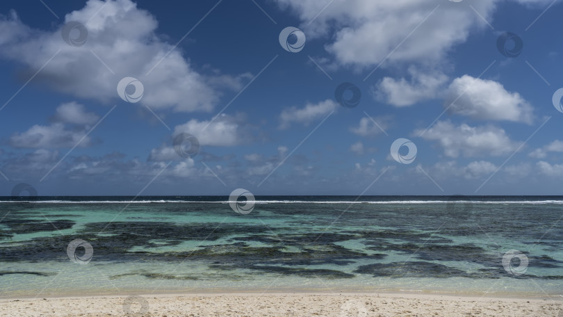 Скачать Кораллы видны сквозь прозрачную воду бирюзового океана. фотосток Ozero