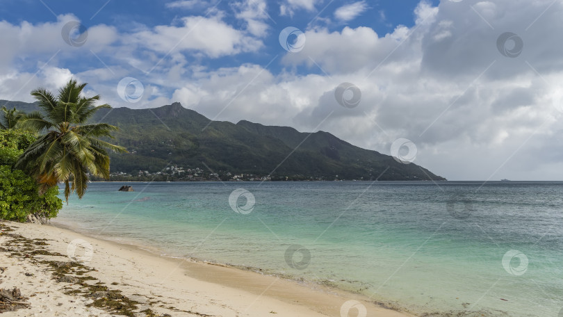 Скачать На песчаном пляже видны сухие водоросли. фотосток Ozero