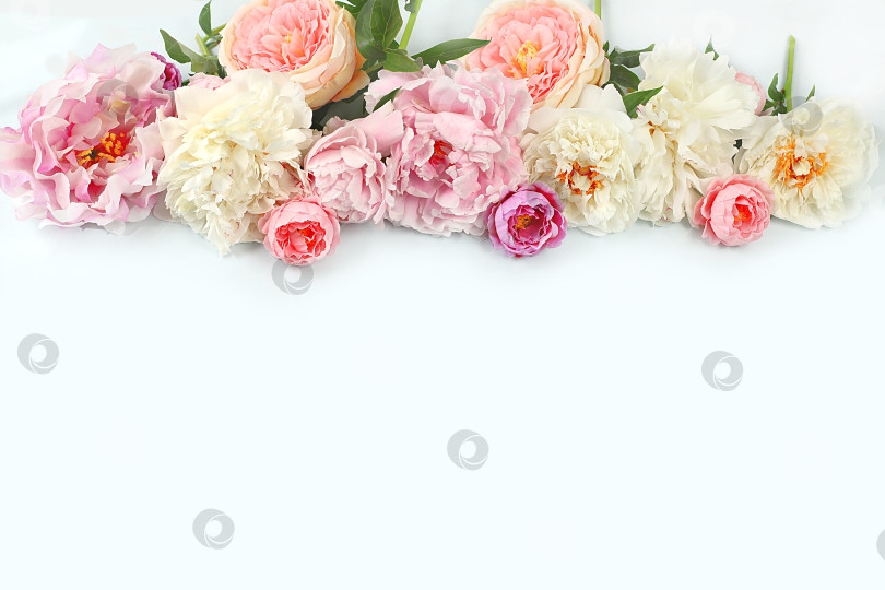 Скачать Рамка из красивых цветов пиона и роз на ярком фоне, летний баннер с местом для текста и шаблоном для оформления, поздравительная открытка на праздник, Пасху, день рождения, свадьбу, фотосток Ozero